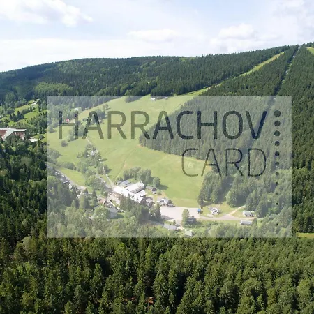 Victoria Harrachov