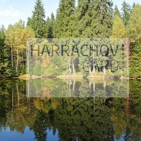 Victoria Harrachov