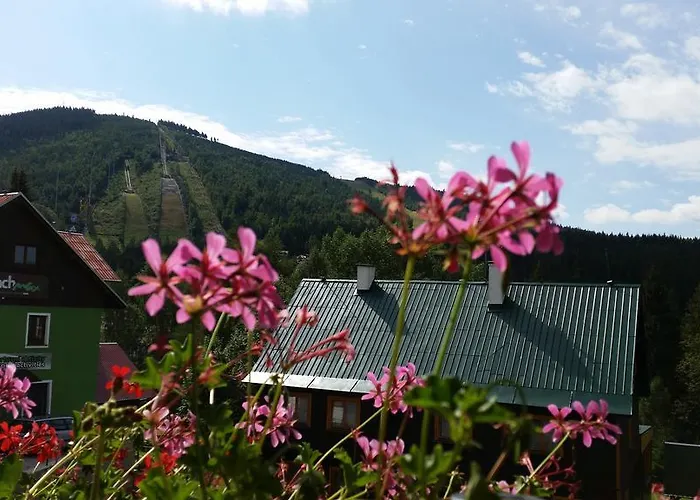 Apartament Victoria Harrachov